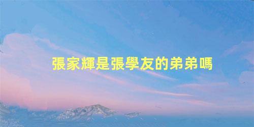 張家輝是張學友的弟弟嗎？張學友和張家輝是親兄弟
